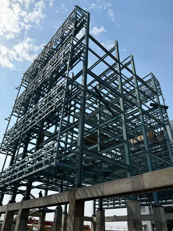 Crop processing plant, Saykha